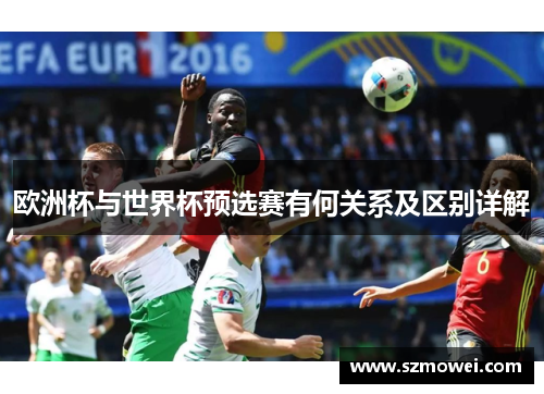 欧洲杯与世界杯预选赛有何关系及区别详解