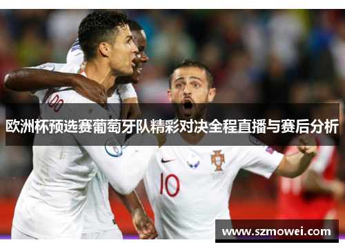 欧洲杯预选赛葡萄牙队精彩对决全程直播与赛后分析